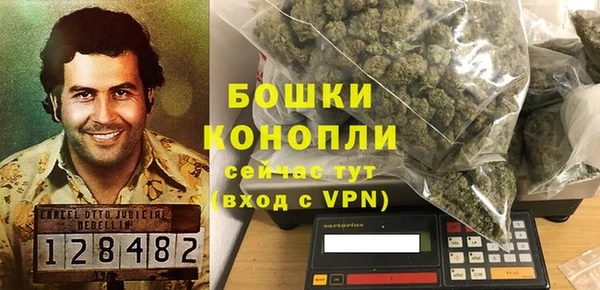 дурь Рославль