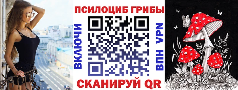 Галлюциногенные грибы Psilocybe  Касли 
