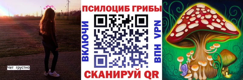 Галлюциногенные грибы Cubensis Касли
